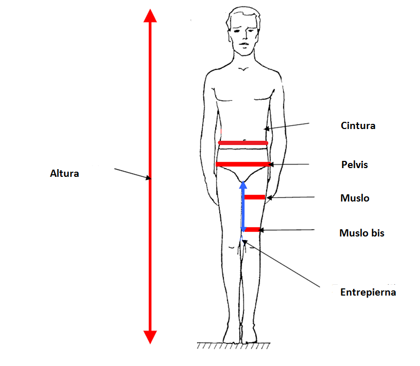 Dessin mannequin mesures Espagnol.png